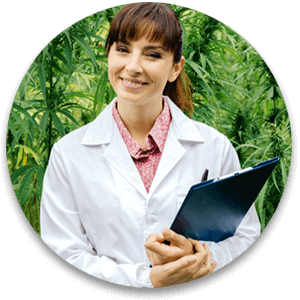 Cannabis Insurance Massachusetts