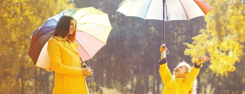 Personal Umbrella Insurance Dover