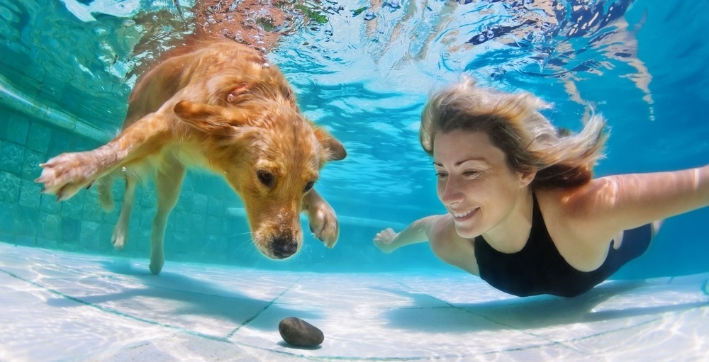 Homeowners Insurance & InGround Pools Is Your Wellesley Home Covered?